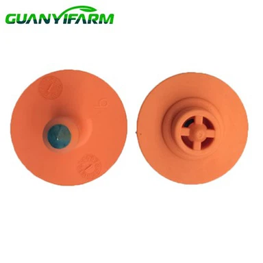 Tagio Clust ar gyfer Da Byw Domestig