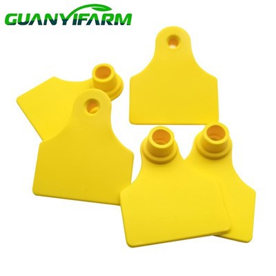 Tag Clust Bach Moch Ar Gyfer Olrhain Anifeiliaid