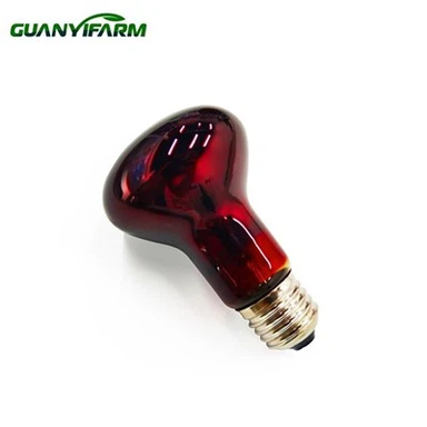 Bwlb Ymlusgiaid 150 Wat