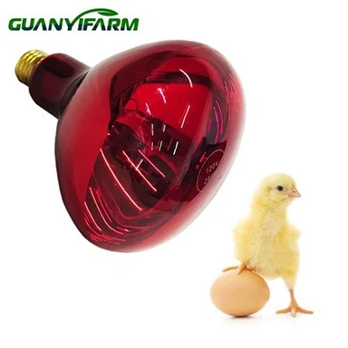 Lamp isgoch ar gyfer anifeiliaid