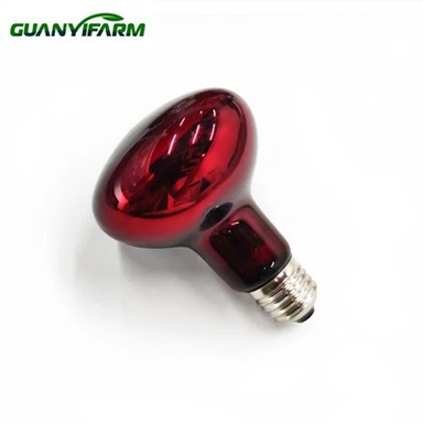 Bwlb Golau Isgoch Ar gyfer Ymlusgiaid